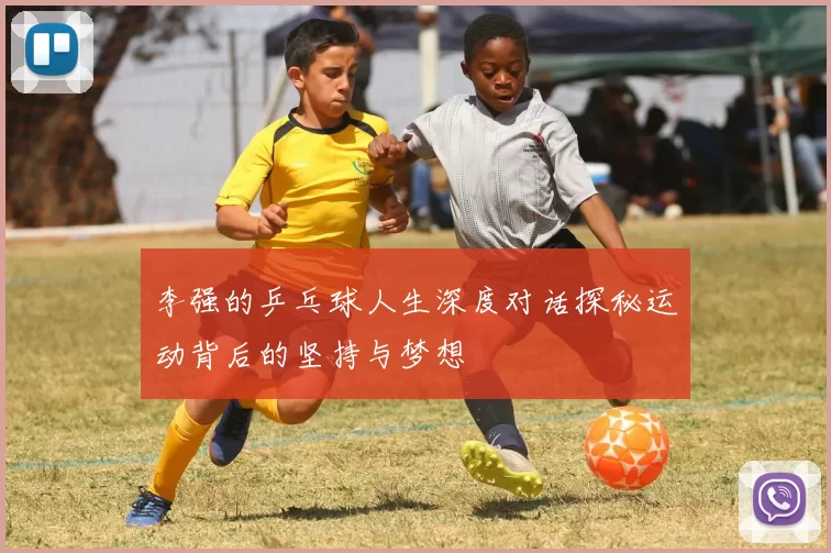 李强的乒乓球人生深度对话探秘运动背后的坚持与梦想