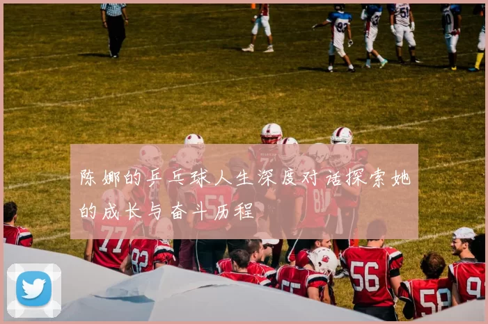 陈娜的乒乓球人生深度对话探索她的成长与奋斗历程