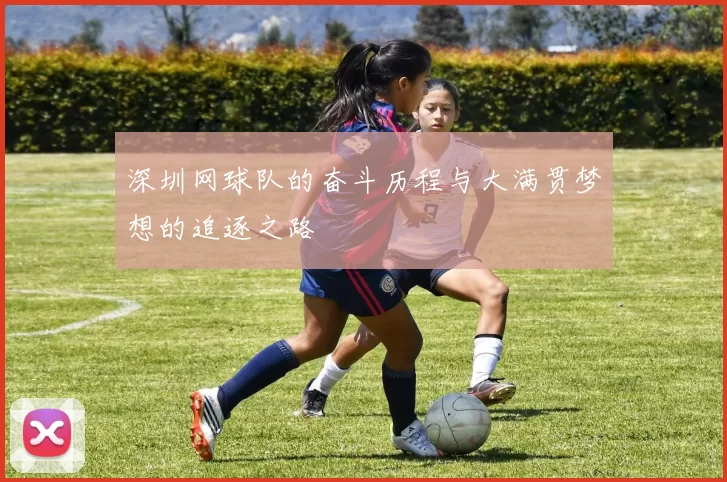 深圳网球队的奋斗历程与大满贯梦想的追逐之路