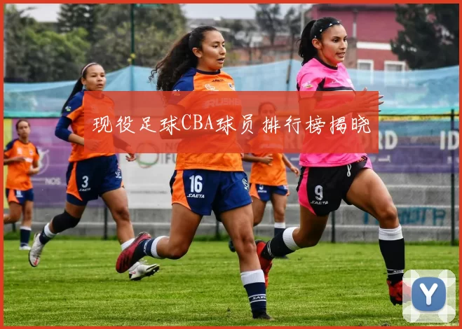 现役足球CBA球员排行榜揭晓