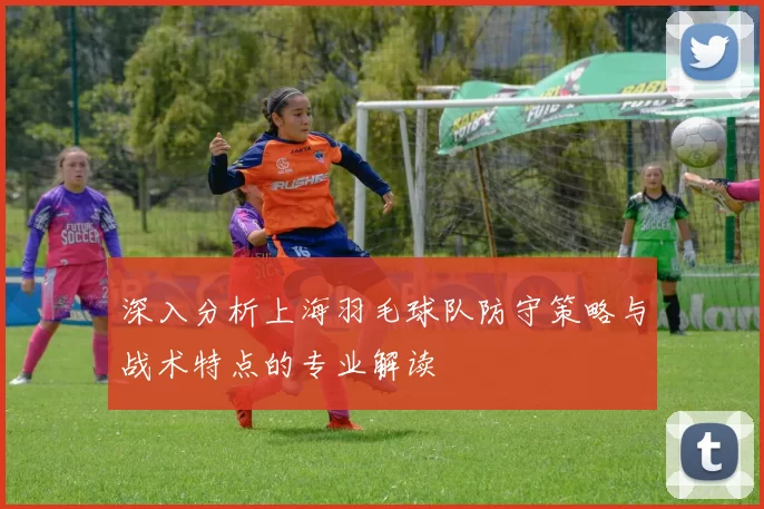 深入分析上海羽毛球队防守策略与战术特点的专业解读