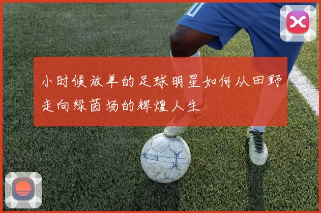 小时候放羊的足球明星如何从田野走向绿茵场的辉煌人生