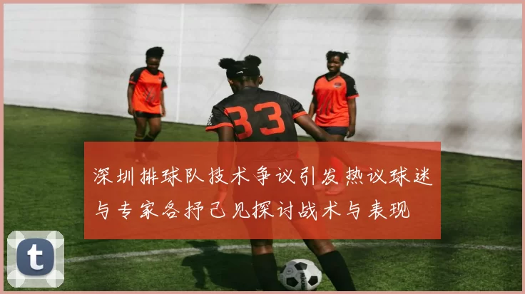 深圳排球队技术争议引发热议球迷与专家各抒己见探讨战术与表现