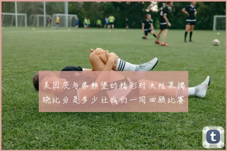 美因茨与弗赖堡的精彩对决结果揭晓比分是多少让我们一同回顾比赛亮点