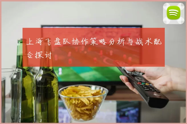 上海飞盘队协作策略分析与战术配合探讨