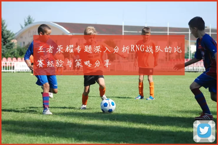王者荣耀专题深入分析RNG战队的比赛经验与策略分享