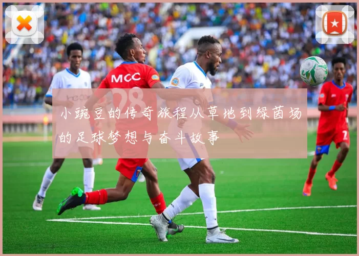 小豌豆的传奇旅程从草地到绿茵场的足球梦想与奋斗故事