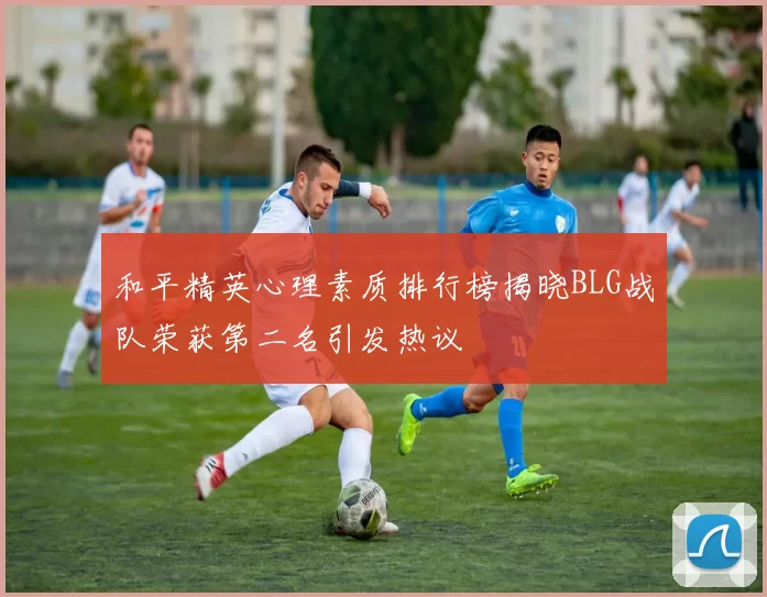 和平精英心理素质排行榜揭晓BLG战队荣获第二名引发热议