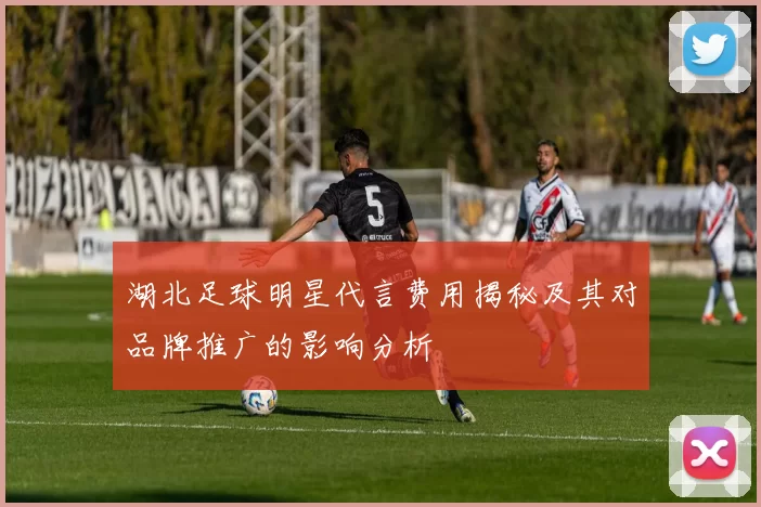 湖北足球明星代言费用揭秘及其对品牌推广的影响分析