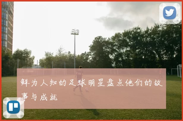鲜为人知的足球明星盘点他们的故事与成就