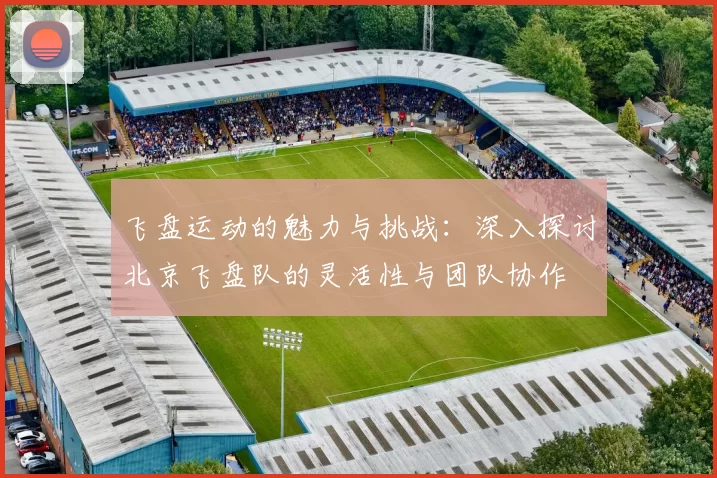飞盘运动的魅力与挑战：深入探讨北京飞盘队的灵活性与团队协作