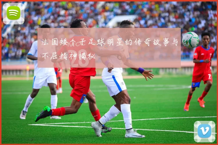 法国矮个子足球明星的传奇故事与不屈精神揭秘