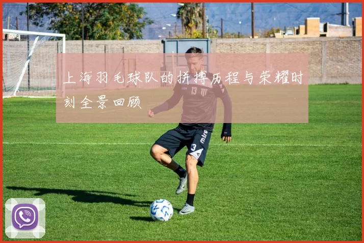 上海羽毛球队的拼搏历程与荣耀时刻全景回顾