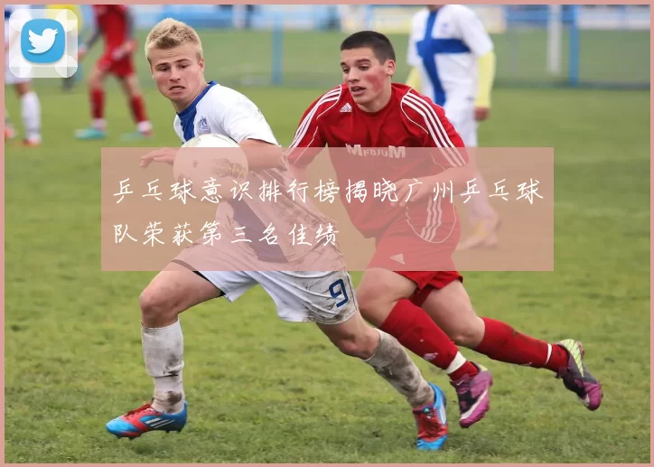 乒乓球意识排行榜揭晓广州乒乓球队荣获第三名佳绩