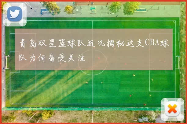 青岛双星篮球队近况揭秘这支CBA球队为何备受关注