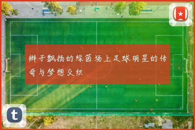 辫子飘扬的绿茵场上足球明星的传奇与梦想交织