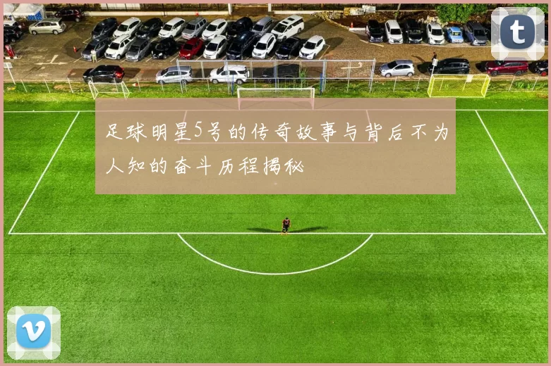 足球明星5号的传奇故事与背后不为人知的奋斗历程揭秘