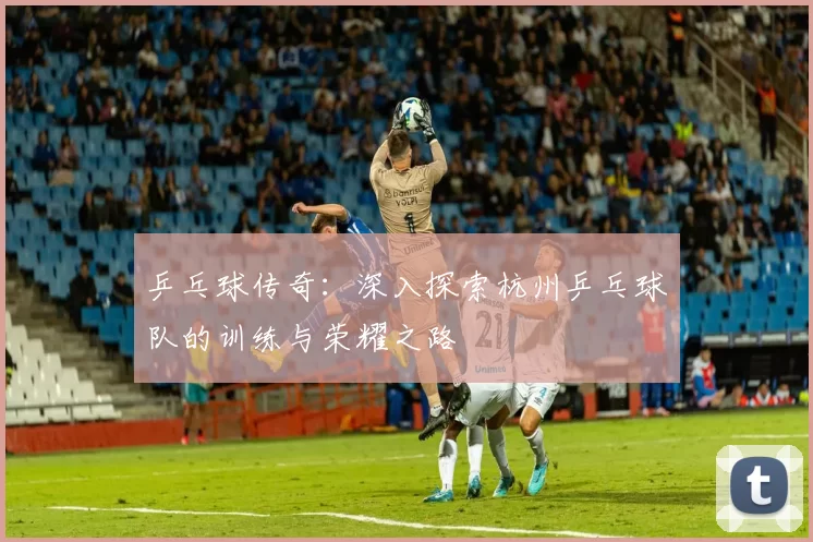 乒乓球传奇：深入探索杭州乒乓球队的训练与荣耀之路