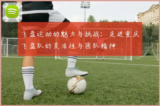 飞盘运动的魅力与挑战：走进重庆飞盘队的灵活性与团队精神