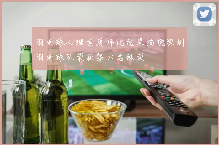 羽毛球心理素质评比结果揭晓深圳羽毛球队荣获第六名殊荣