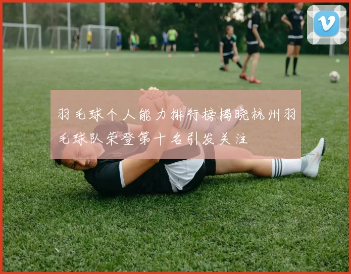 羽毛球个人能力排行榜揭晓杭州羽毛球队荣登第十名引发关注