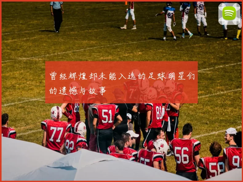 曾经辉煌却未能入选的足球明星们的遗憾与故事