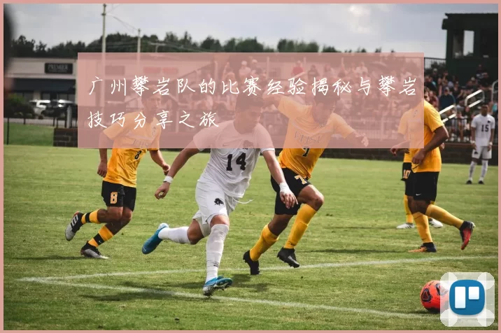 广州攀岩队的比赛经验揭秘与攀岩技巧分享之旅