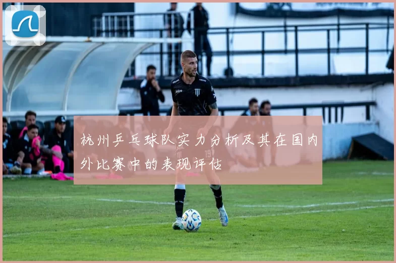 杭州乒乓球队实力分析及其在国内外比赛中的表现评估
