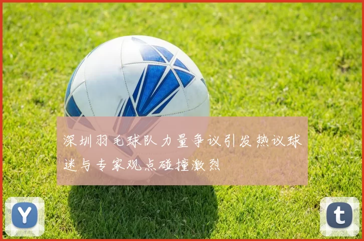 深圳羽毛球队力量争议引发热议球迷与专家观点碰撞激烈