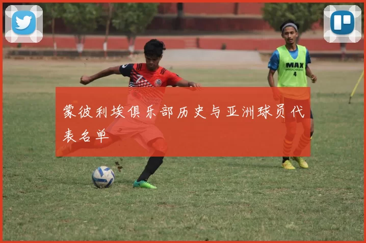 蒙彼利埃俱乐部历史与亚洲球员代表名单