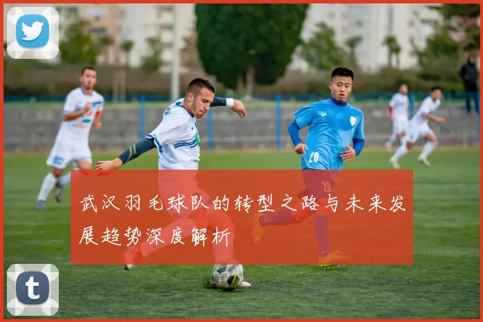 武汉羽毛球队的转型之路与未来发展趋势深度解析