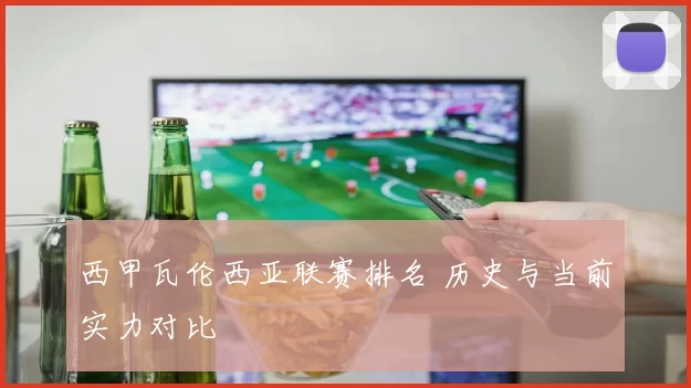 西甲瓦伦西亚联赛排名 历史与当前实力对比