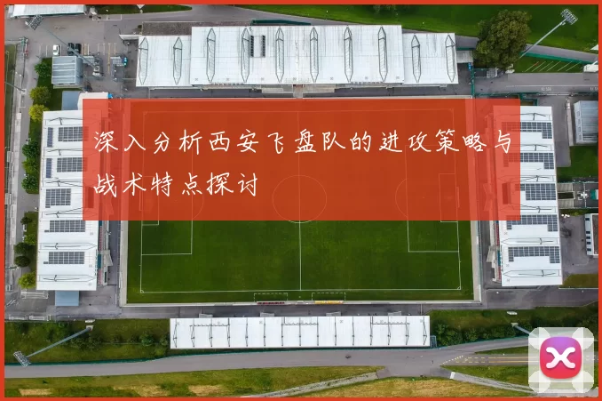 深入分析西安飞盘队的进攻策略与战术特点探讨