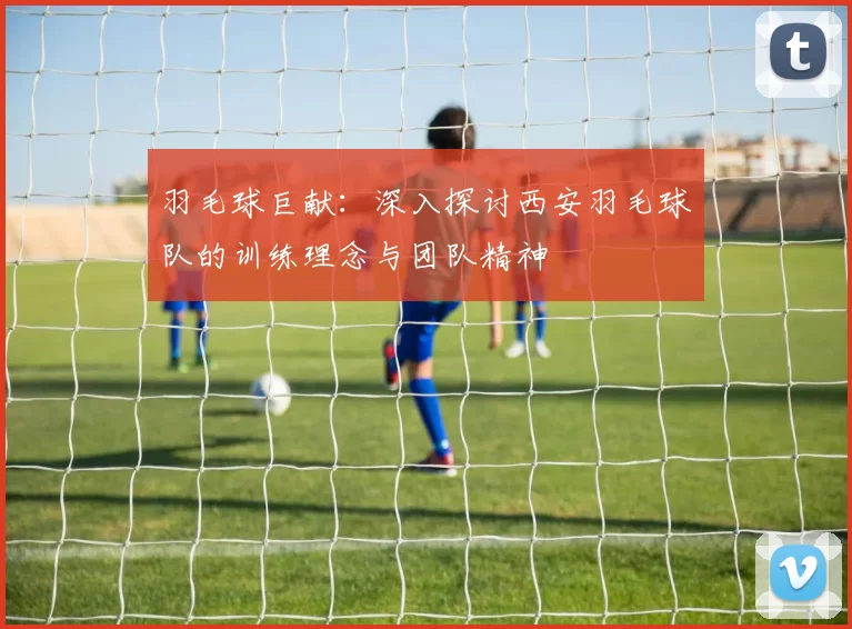 羽毛球巨献：深入探讨西安羽毛球队的训练理念与团队精神